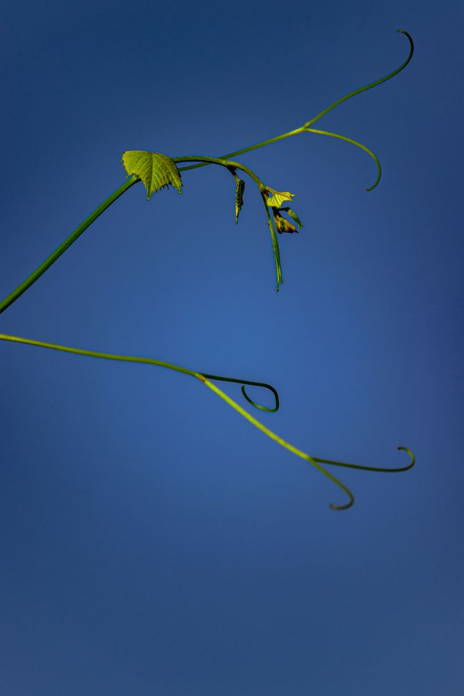 Photograph by Сергей Зайцев