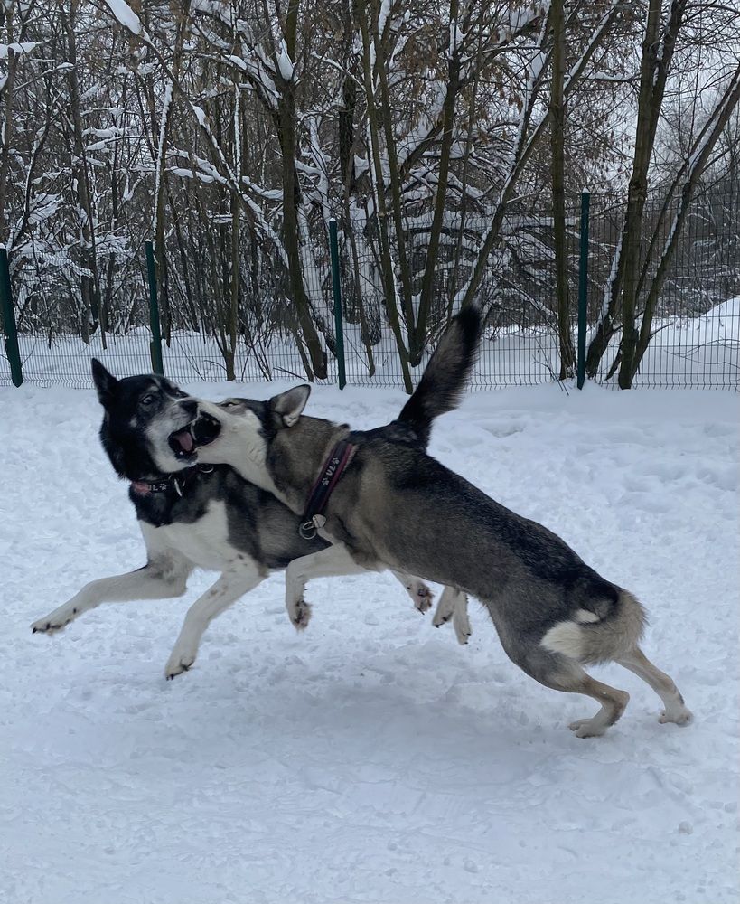 Photograph by Елена Одынец