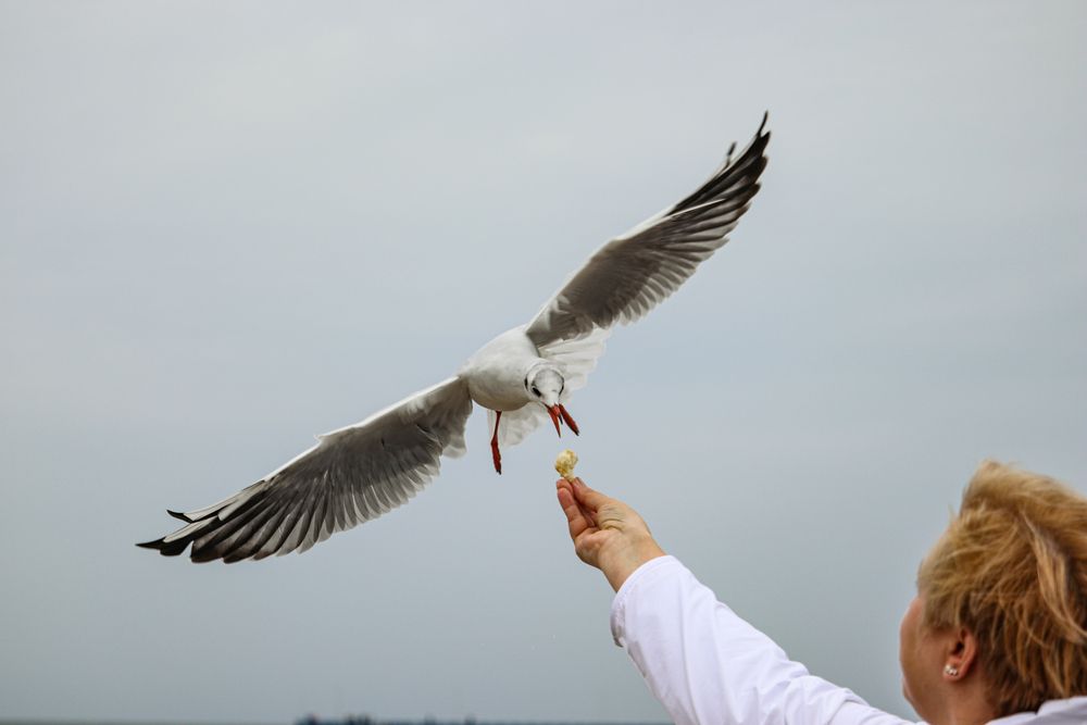 Photograph by Воронина Татьяна