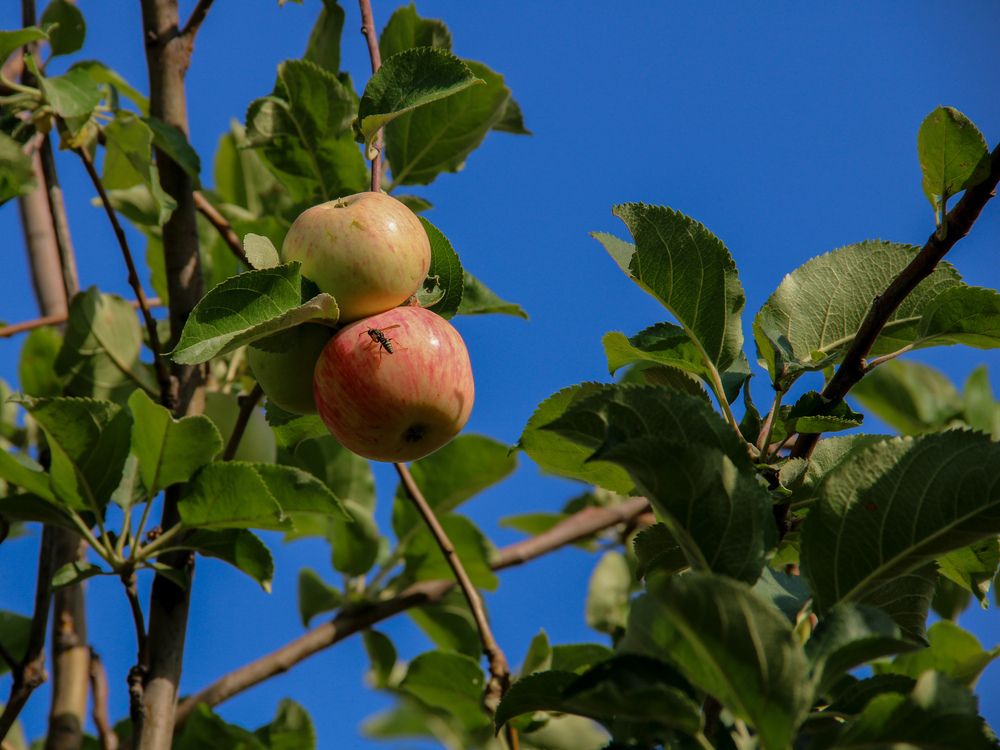 Фотография автора Владимир Ли