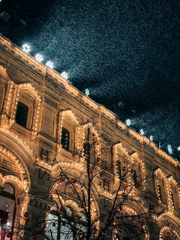 Фотография автора Вера Дряба