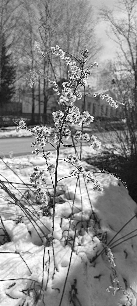 Фотография автора Неля Кочурова