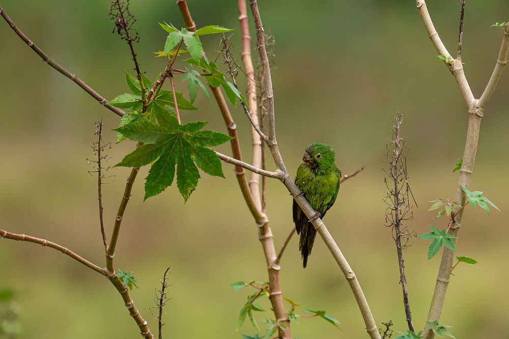 Photograph by Ангелина Ильичева