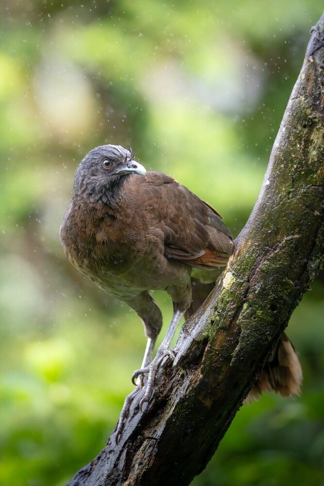 Photograph by Matthew Lock