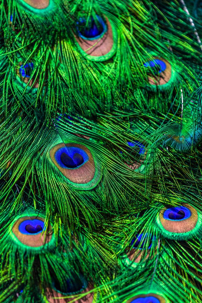 Photograph by Витас Черняускас