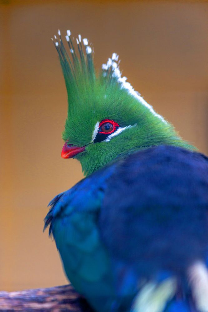 Photograph by Витас Черняускас