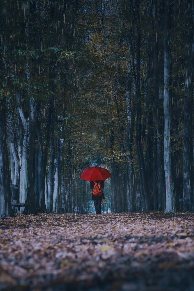 Alone in the Rain