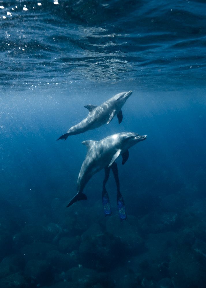 Фотография автора nishijima takayuki