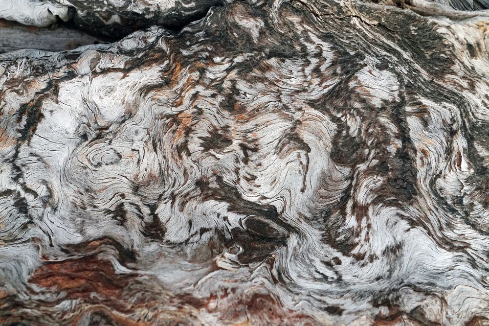 Photograph by Лена Максимкина