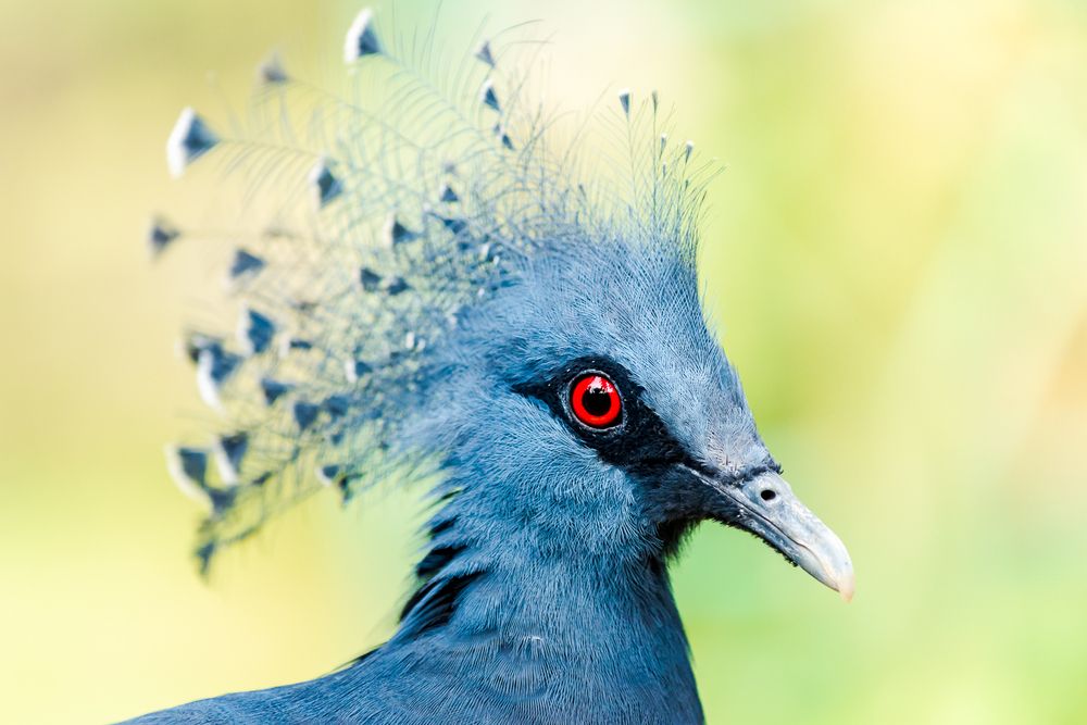 Photograph by Bruno Ribeiro