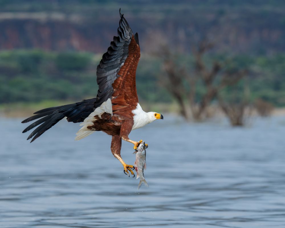 Photograph by Ruzhdi Ibrahimi