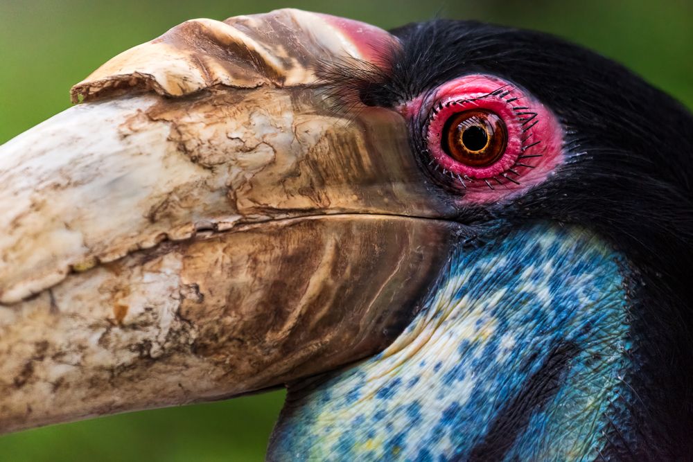 Photograph by Bruno Ribeiro