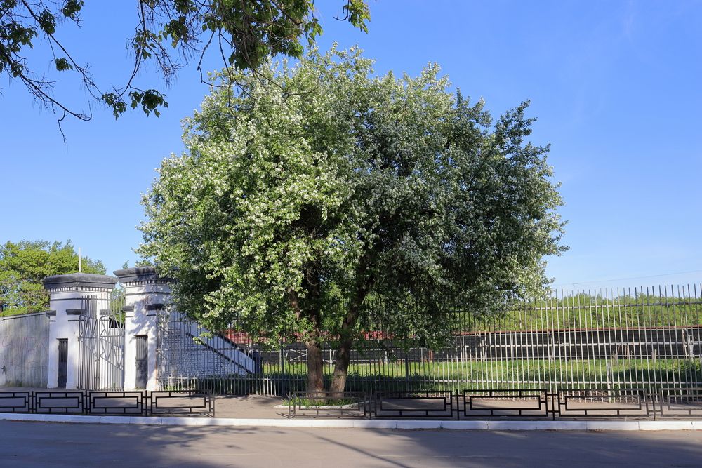 Фотография автора Александр Николаев