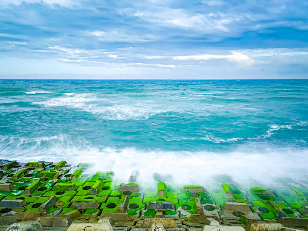 Waves in Moss