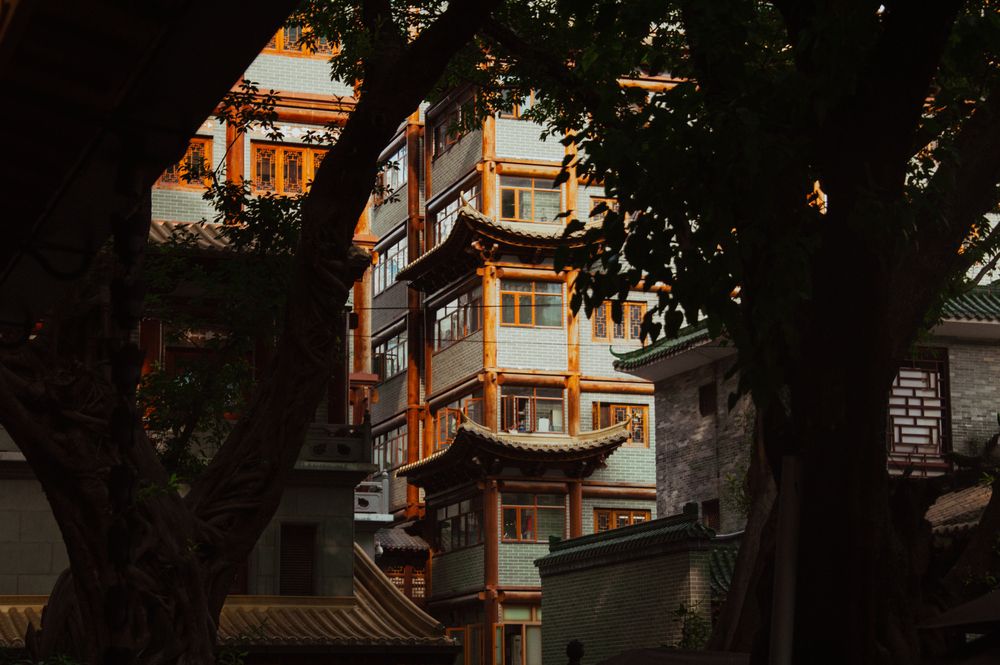 Photograph by Влада Соколова
