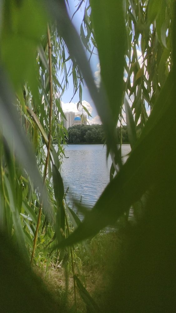 Фотография автора Васильева Ирина