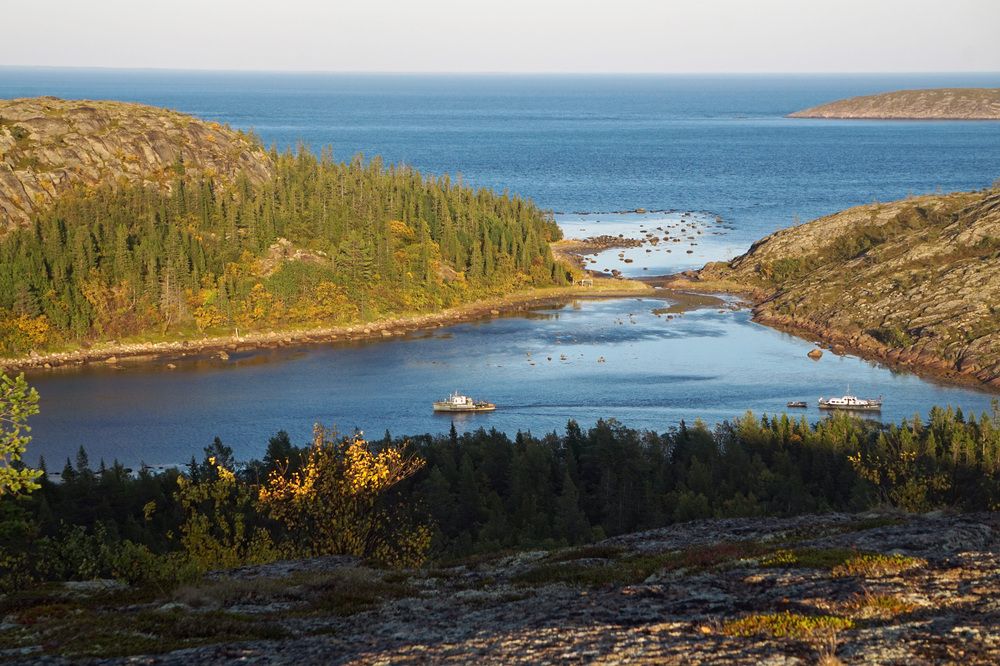 Photograph by Лена Максимкина