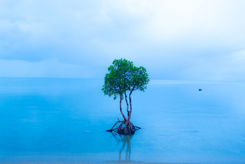 Фотография автора nishijima takayuki