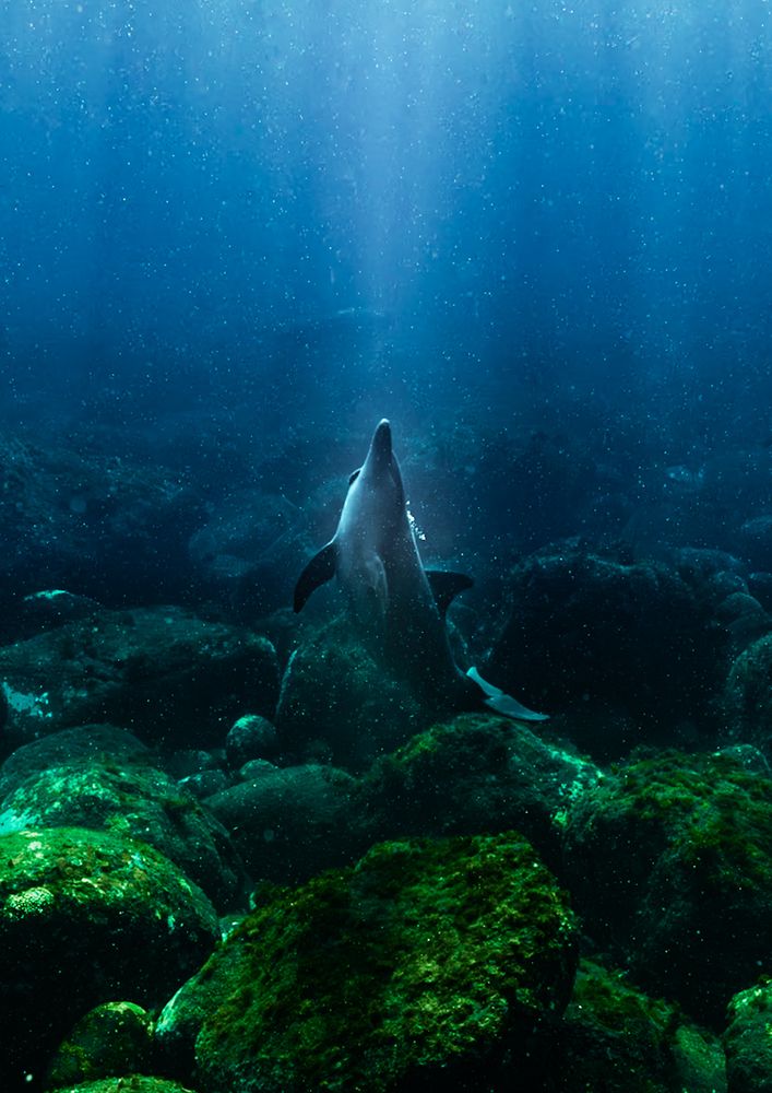 Photograph by nishijima takayuki