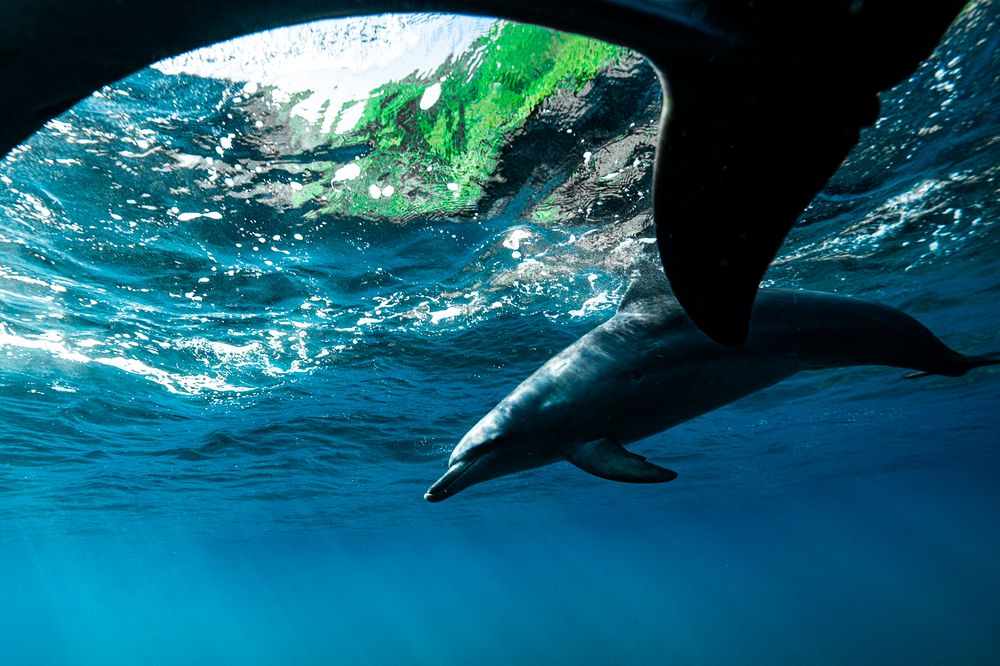 Photograph by nishijima takayuki