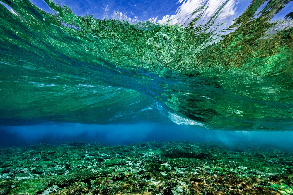 Фотография автора nishijima takayuki