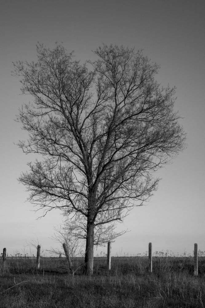 Photograph by Олег Алексеев