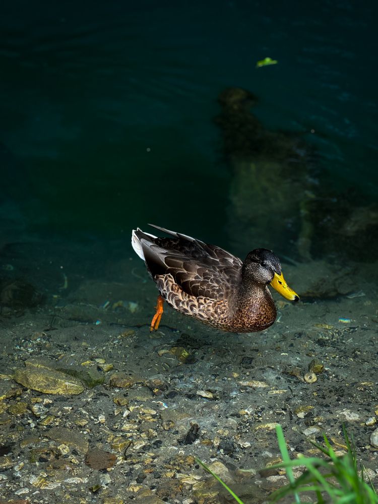 Photograph by Ярослава Васильева