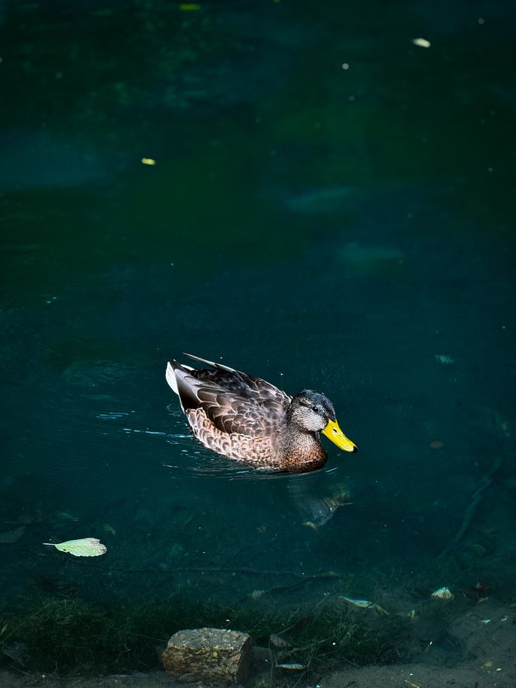 Photograph by Ярослава Васильева