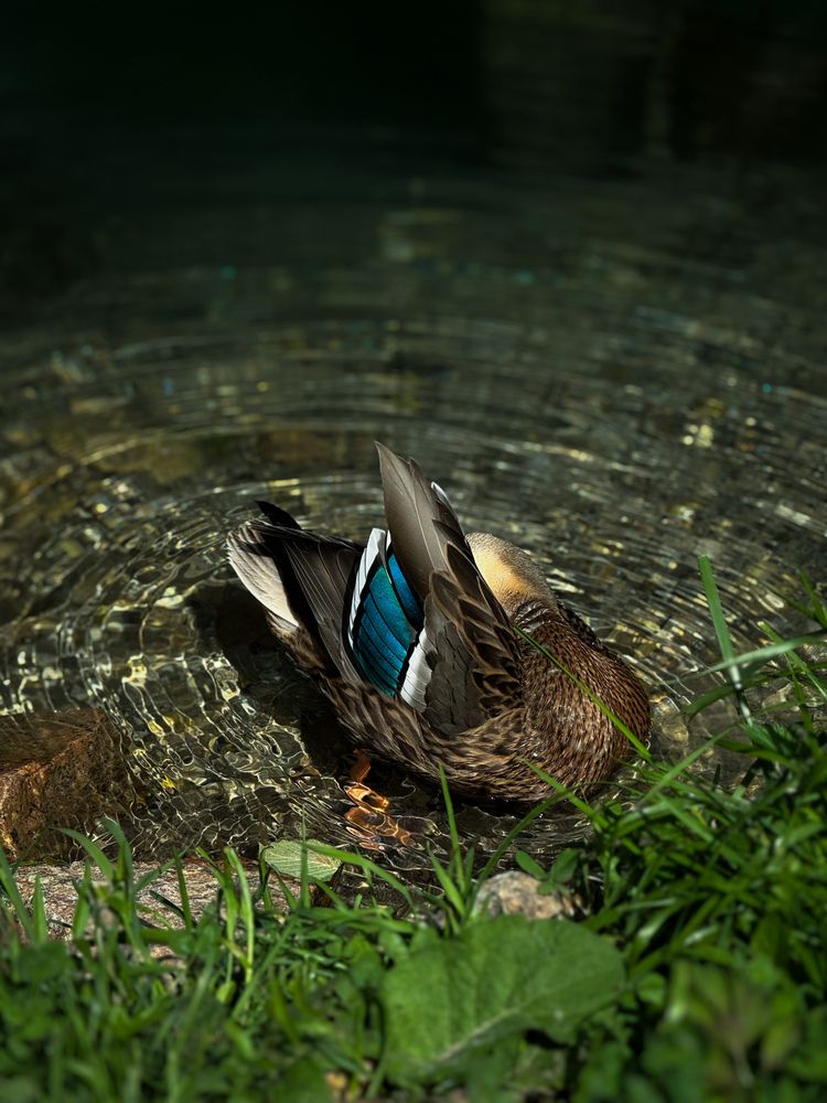 Photograph by Ярослава Васильева