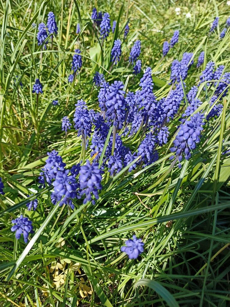 Photograph by Наталья Покрепина