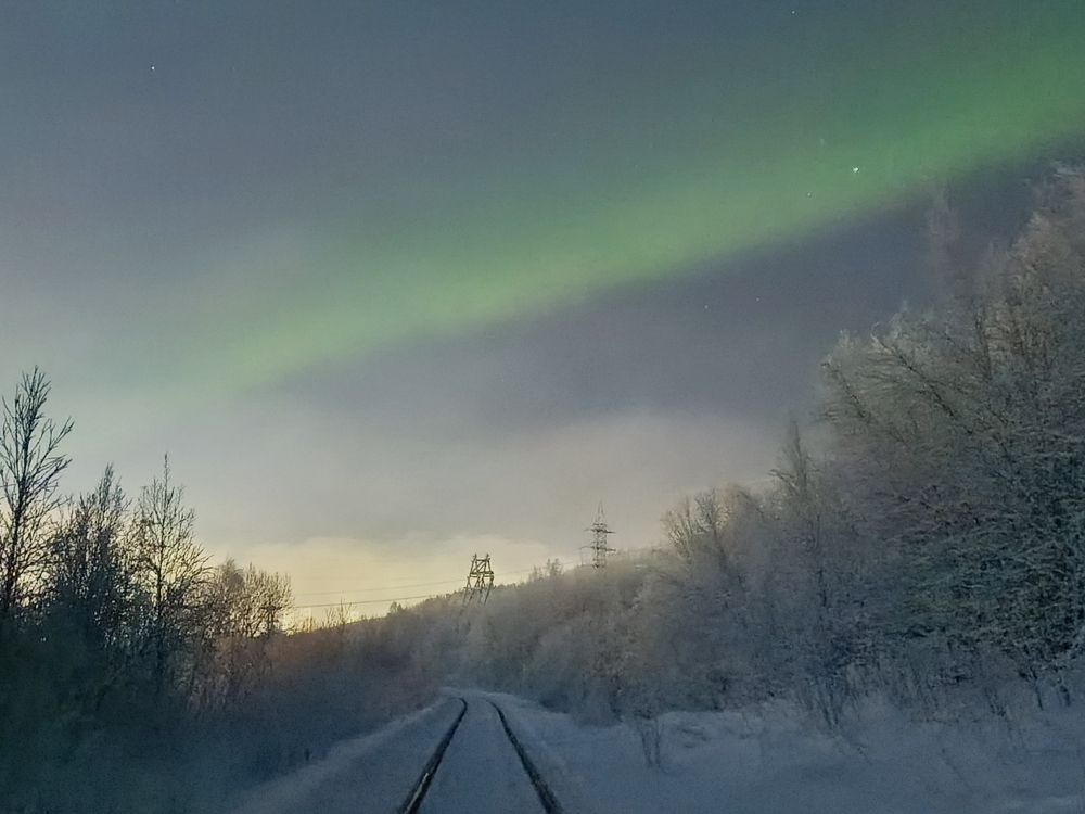 Фотография автора Марина Зборацкая