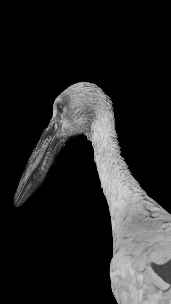 Photograph by Vinuki Perera