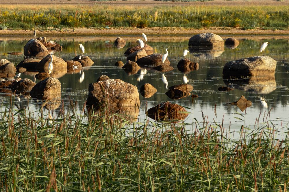 Photograph by Люсия Мирт