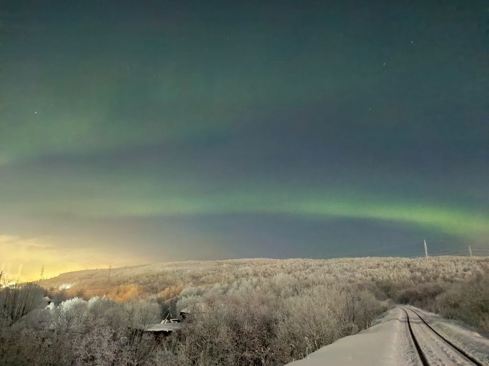 Фотография автора Марина Зборацкая