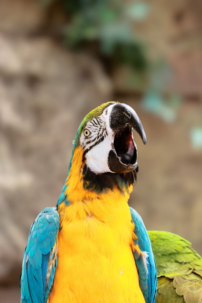 Photograph by Ангелина Высочина