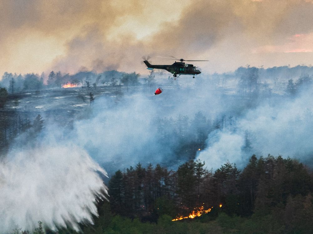 Photograph by Lyuboslav Bochev