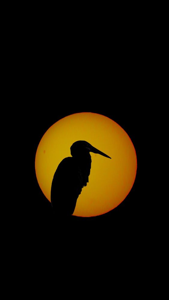 Photograph by Vinuki Perera