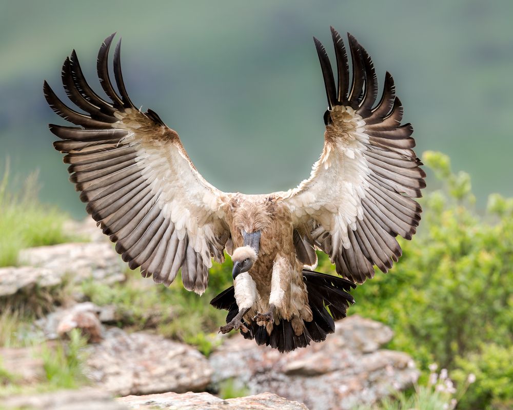 Photograph by Ruzhdi Ibrahimi
