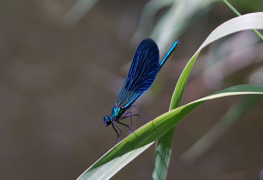Photograph by Лена Максимкина