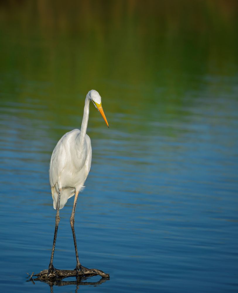 Photograph by Марина Ческис