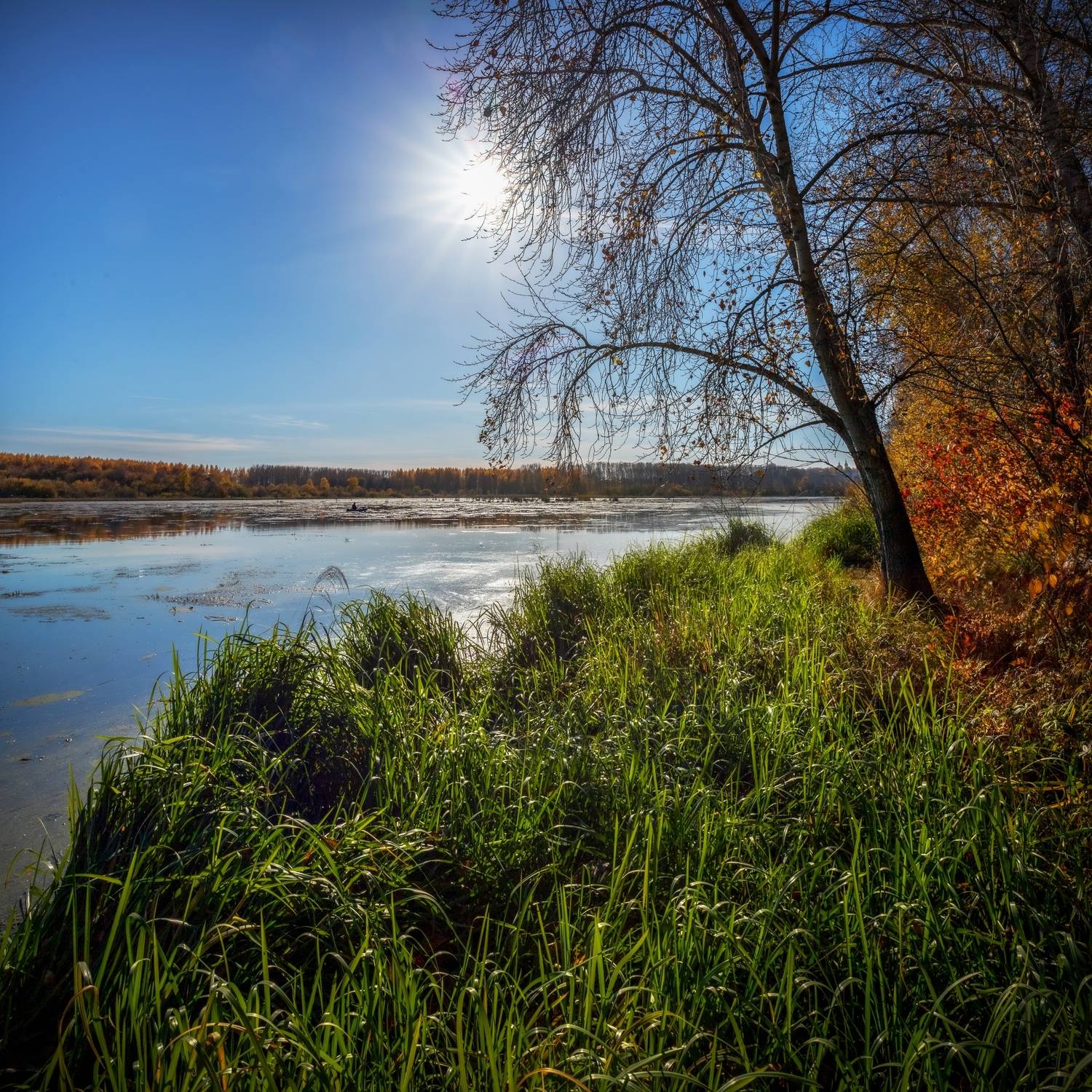 Фотография #13175912