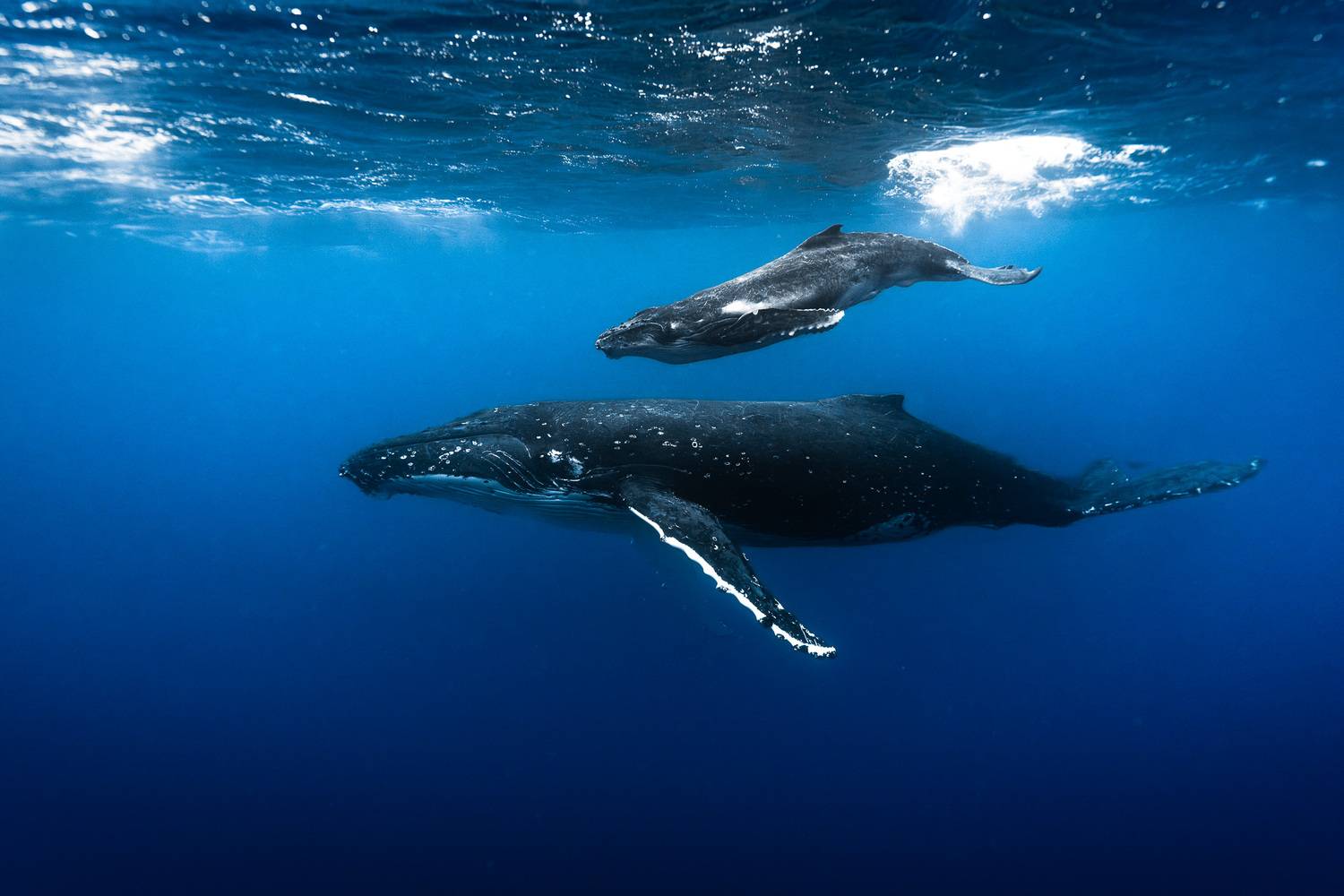 Above and Below Above and Below