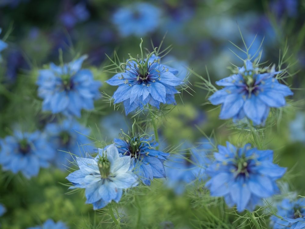 Photograph by Ирина Протченко