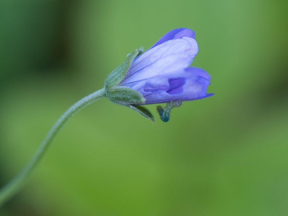 Photograph by Ирина Протченко