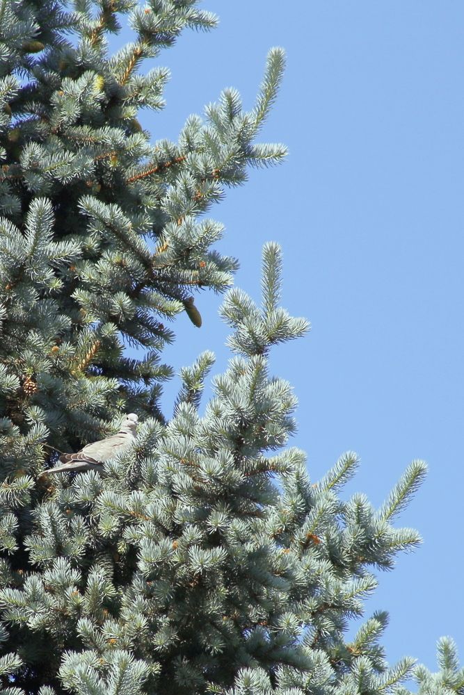 Фотография автора Геннадий Титов