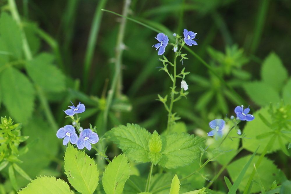 Фотография автора Геннадий Титов