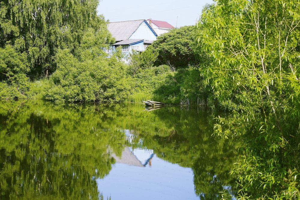 Фотография автора Геннадий Титов