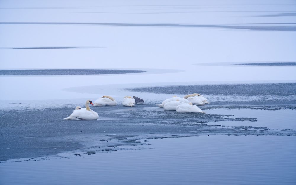 Photograph by Stanislav Volkov