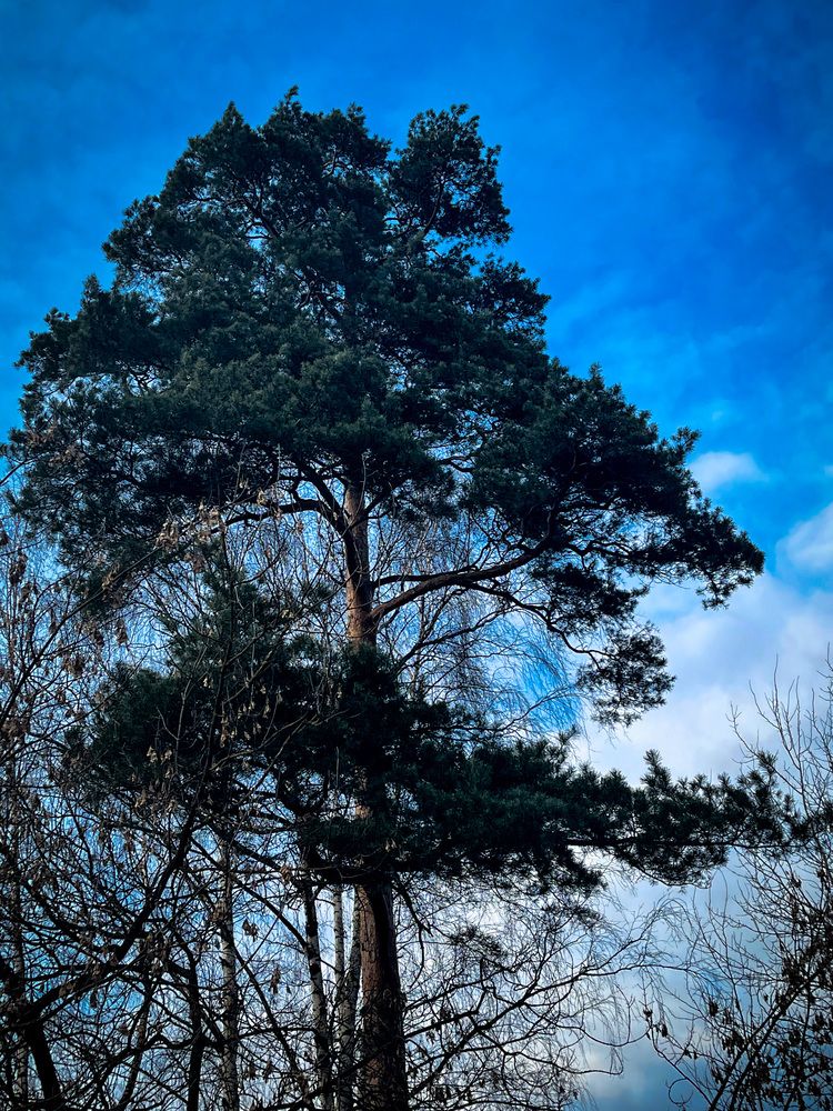 Фотография автора Елизавета Станкевич