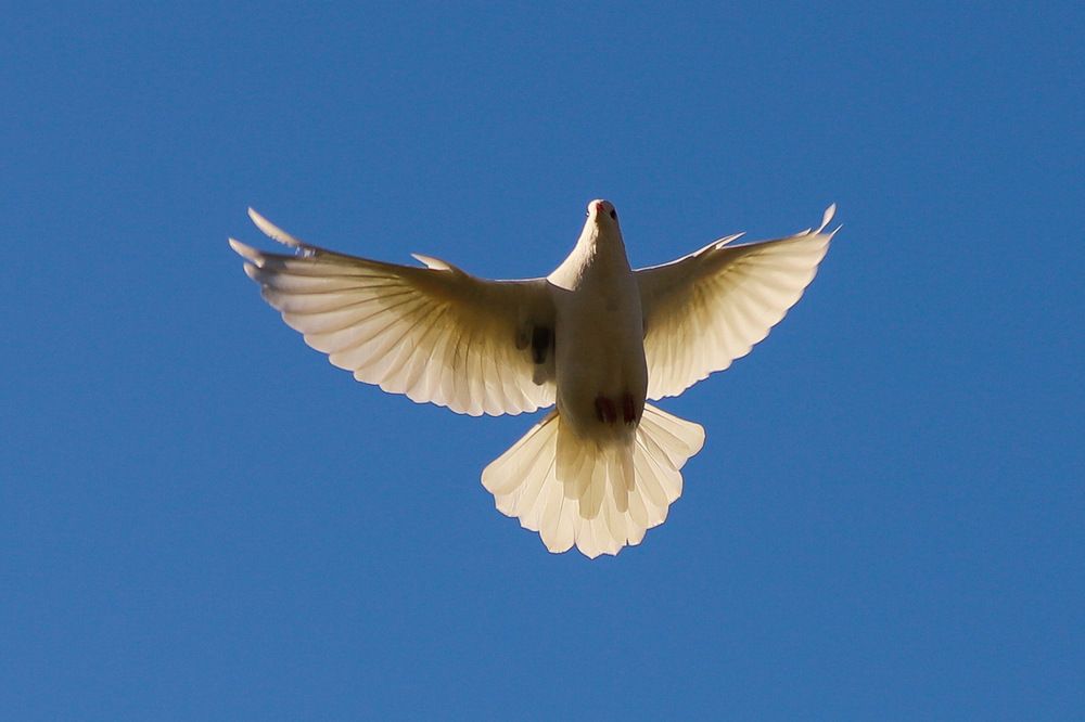 Photograph by Евгений Хорошилов